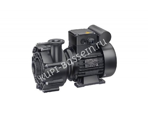 Насос (0,75кВт 220В) Badu 21-40/54 G Speck (234.0540.138) для бассейна