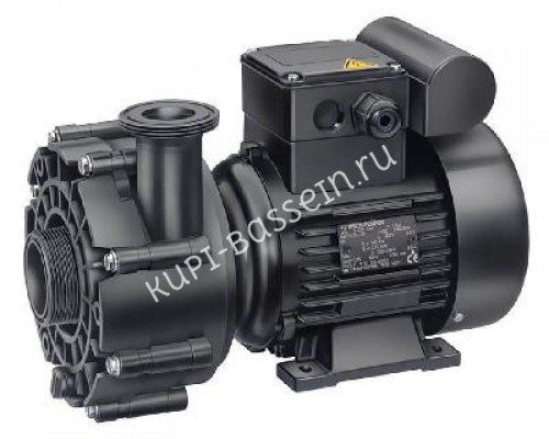 Насос (0,75кВт 220В) Badu 21-40/54 G Speck (234.0540.138) для бассейна
