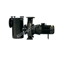 Насос Hayward HCP5243E24 (380В, 33 м3/ч, 4HP)