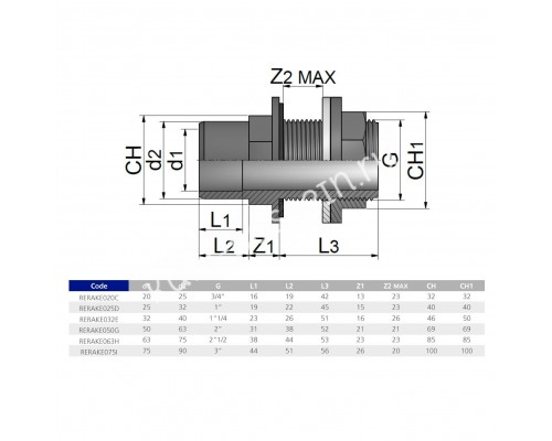 Танк-адаптер ПВХ EFFAST d32*40*1-1/4" (RERAKE032E) для бассейна