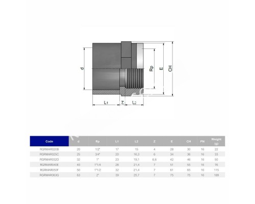 Муфта переходная EFFAST c металлическим кольцом d32x1" (RGRMAR) для бассейна