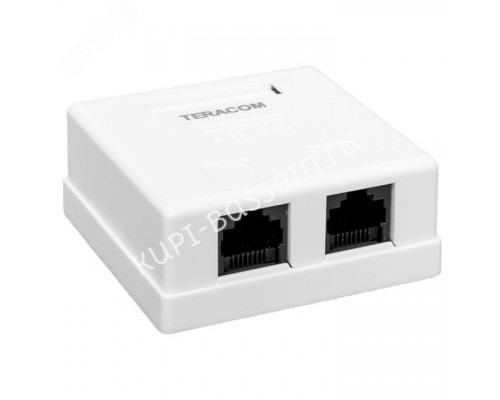 Розетка настенная TERACOM Cat.5E неэкранированная 2 порта RJ-45 Dual IDC белая