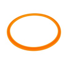 Уплотнительное кольцо AquaViva прожектора LED/UL-P100 2021004