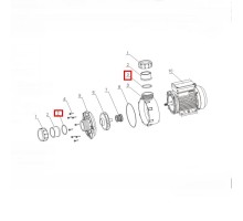 Уплотнительное кольцо соединительной муфты для насоса Aquaviva WTC