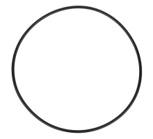 Уплотнительное кольцо корпуса для насоса Aquaviva OS/LP