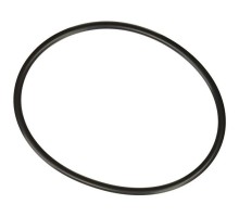 Уплотнительное кольцо для крышки хлоратора Hayward SPX3000SV