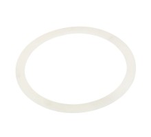 Уплотнительное кольцо AquaViva прожектора LED/UL-TP100 2021055