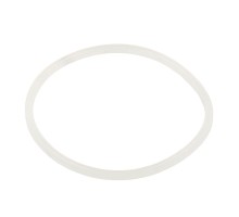 Уплотнительное кольцо AquaViva хлоратора SSC 2021044