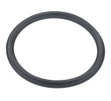 Уплотнительное кольцо Hayward муфты RS II (RSX750N)