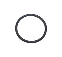 Уплотнительное кольцо Hayward (SX0220Z2)