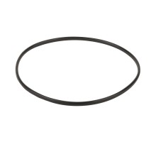 Уплотнительное кольцо к прижимному фланцу корпуса насоса AquaViva SC (02011089)