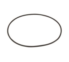 Уплотнительное кольцо корпуса насоса Aquaviva SWIM 025-150