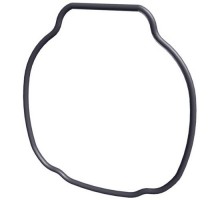 Прокладка Hayward TriStar (SPX3200T)