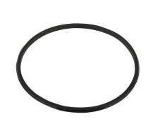 Резинка уплотнительная под муфту накидную для насосов Aquaviva серии SS/SD (2011104)