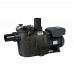 Насос Hayward RS II RS3016VSTD (220В, 19.5 м3/ч, 1.5HP) для бассейна