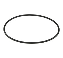 Уплотнительное кольцо корпуса насоса Aquaviva ZWE\WTB