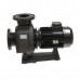 Насос Hayward HCP111253E KTB1250 T2.B IE3 для бассейна (380V, 11kW)