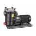 Насос BADU FA21-60/45 с префильтром для бассейна, 45 м³/ч, 380В