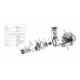 Прокладка-кольцо крышки насоса TDA50-120/WPP100-150 Mayer Schwimmbad F02010080