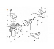 Болт крышки префильтра  насоса NK Kripsol RNК 010.A