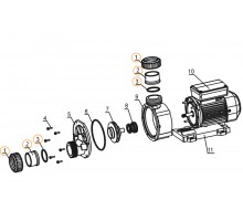 Муфта d50 насоса WTC/TDA/WPP Mayer Schwimmbad (компл.2 шт.) N03000003