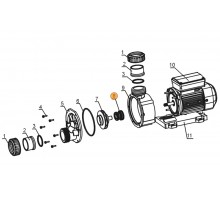 Сальник (компл.) насоса  TDA35-50 Mayer Schwimmbad LX F01160029