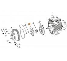 Рабочее колесо насоса  DWK200 Mayer Schwimmbad LX A03010049