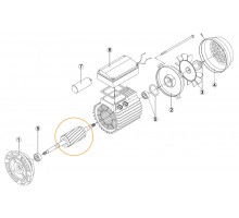 Ротор двигателя насоса ОК-33 (220В) с 2-мя подшипниками 6202 Kripsol