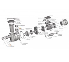 Гайка муфты d50 насоса HFC 03 Happy Pump