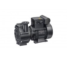 Насос (0,75кВт 220В) Badu 21-40/54 G Speck (234.0540.138)