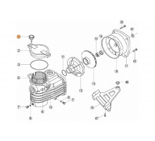 Болт крышки префильтра  насоса ОK Kripsol RОК 010.A
