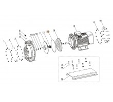 Прокладка-кольцо крышки задней насоса FSE65-50-160/5.5 Mayer Schwimmbad F02010102