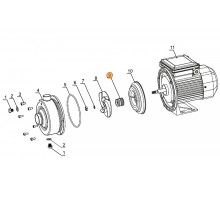 Сальник (компл.) насоса DWK50-100 Mayer Schwimmbad LX F01150062