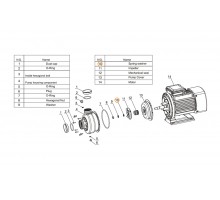 Шайба пружинная d8 насоса Mayer Schwimmbad LX J51010015
