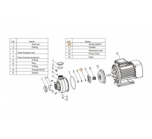 Шайба пружинная d12 рабочего колеса насоса Mayer Schwimmbad LX J51010027