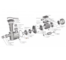 Прокладка-кольцо крышки задней насоса HFC 03 Happy Pump