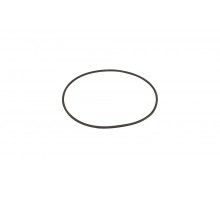 Прокладка-кольцо крышки префильтра насоса AQUA-MINI Emaux (02020049)