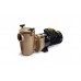 Насос бронзовый (4 кВт 380В) с префильтром Pahlen P2000 T...