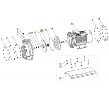 Сальник (компл.) насоса CA Mayer Schwimmbad LX F01250039