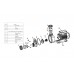 Прокладка-кольцо крышки насоса TDA50-120/WPP100-150 Mayer Schwimmbad F02010080