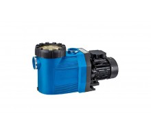 Насос (1 кВт 380В) Badu Prime 20 Speck Pumpen (219.0208.037)