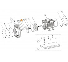 Шпонка рабочего колеса насоса SCA/CA Mayer Schwimmbad LX J62010018