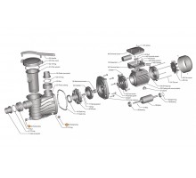 Винт сливной насоса HFC 02/03 Happy Pump