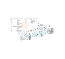 Прокладка-кольцо крышки передней корпуса насоса WP500-IT Mayer Schwimmbad