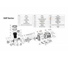 Болт насоса SGP Mayer Schwimmbad LX J21020118