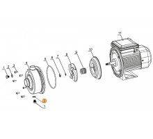 Прокладка-кольцо заглушки насоса DWK  Mayer Schwimmbad LX F03080001