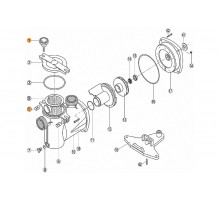 Болт с гайкой  крышки префильтра  насоса NK Kripsol  RPUM0001.00R