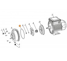 Прокладка-кольцо крышки задней насоса DWK  Mayer Schwimmbad LX F02030027