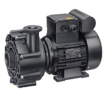 Насос (0,75кВт 220В) Badu 21-40/54 G Speck (234.0540.138)