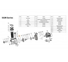 Прокладка-кольцо d59*3.1 насоса Mayer Schwimmbad LX F02010049